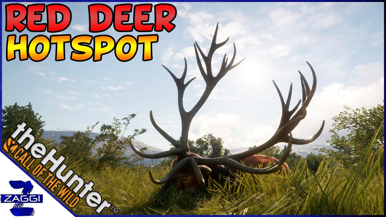 Best Spot for Red Deer on Cuatro Colinas!?