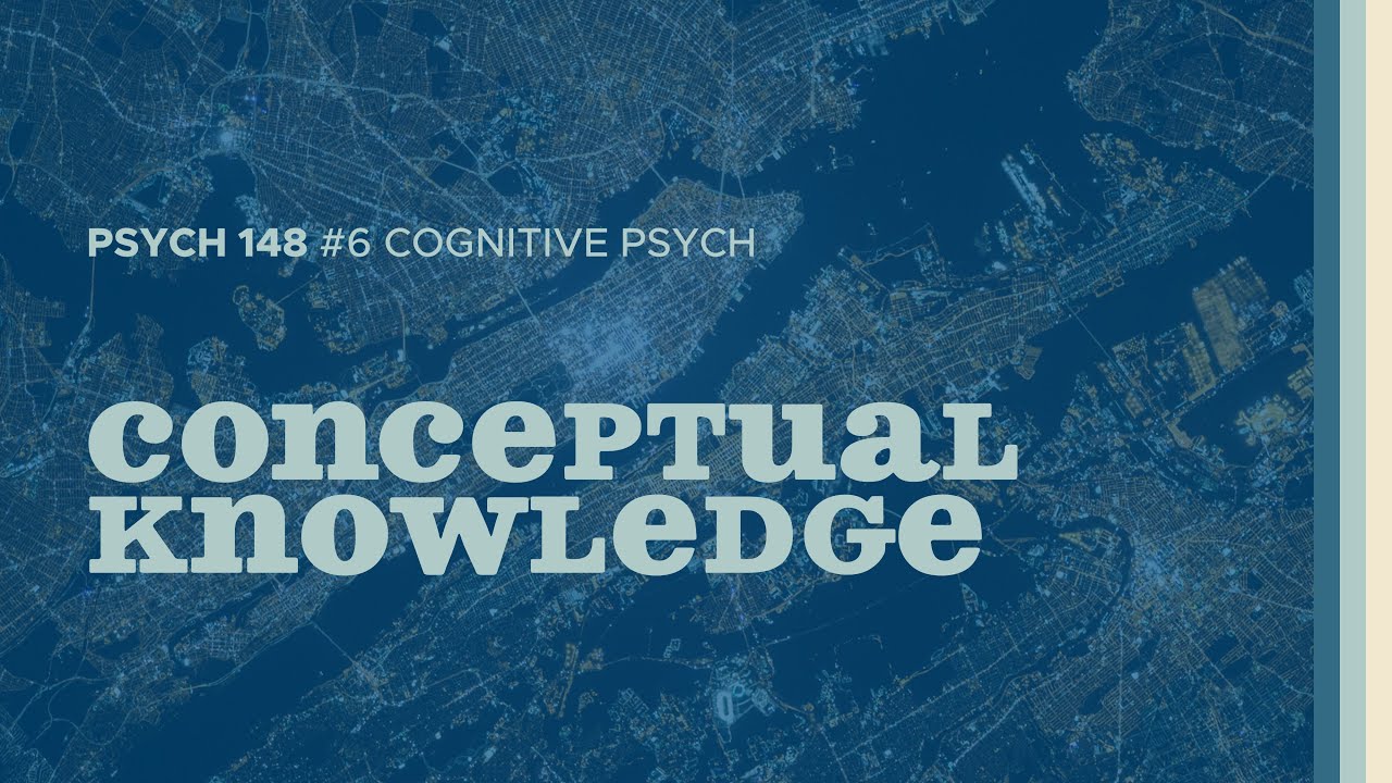 All The Things | Conceptual Knowledge (Cognitive Psych #6)
