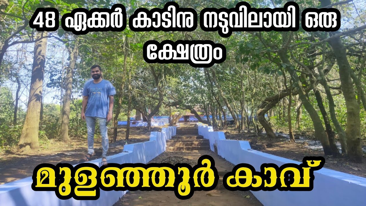 A temple in the midst of a dense forest|Mulanjoor kavu|മുളഞ്ഞൂർക്കാവ്| Ottapalam| Malayalam vlog