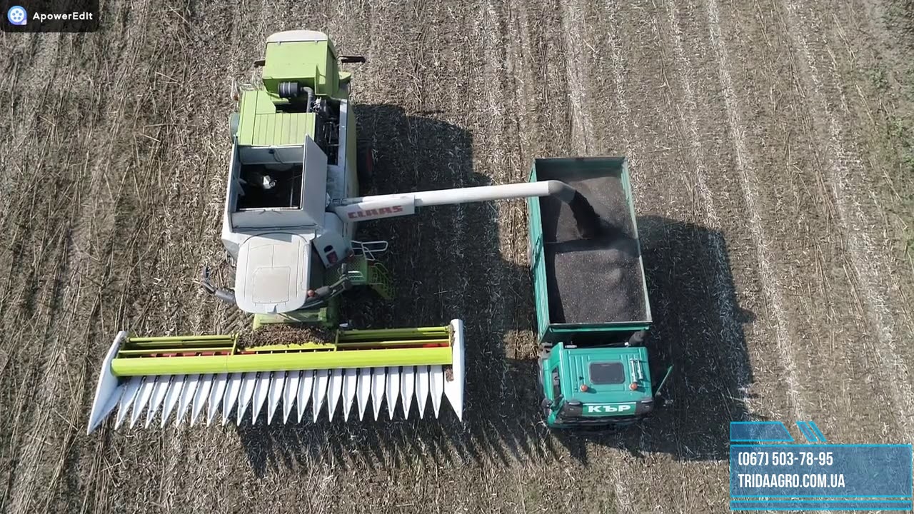 Жатка Claas Sunspeed  в роботі