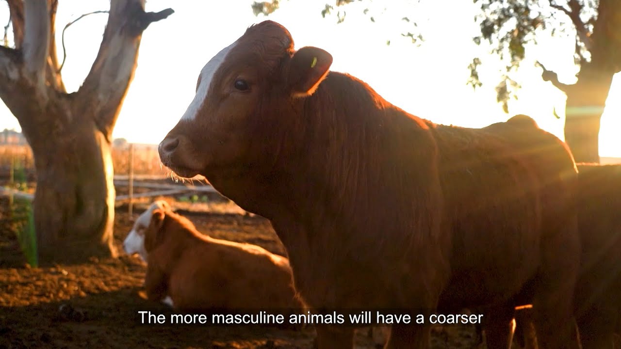 Landbouweekliks - Seisoen 18 Episode 08 (Richter Simbras - Chris Richter)