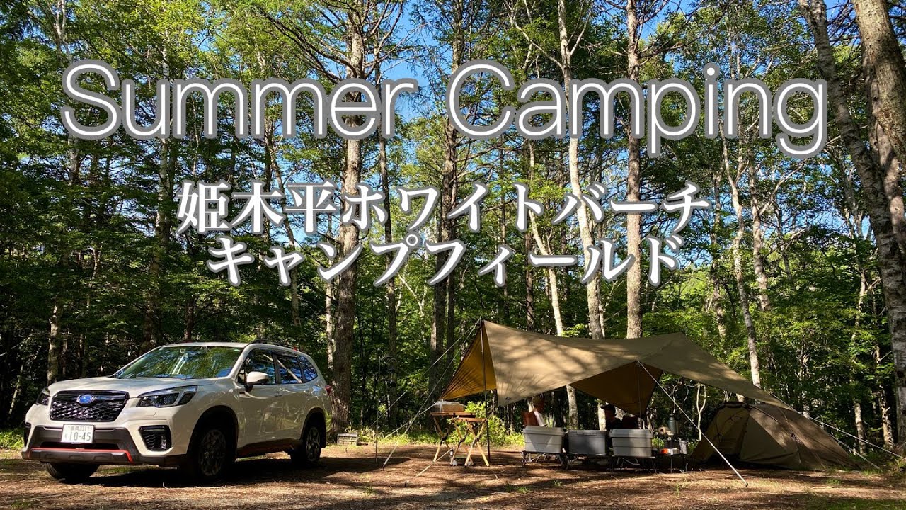 夫婦キャンプ「姫木平ホワイトバーチキャンプフィールド」白樺に囲まれてSummer camping / cozy camping / ASMR