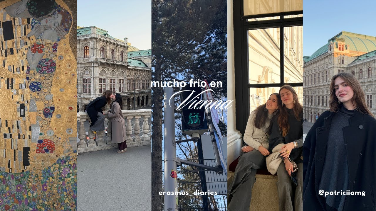 mucho frio en Viena