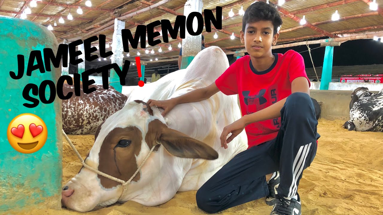 2k25 ke season mai first time Mandi❤️ | Mandi Vlog | Rates update?