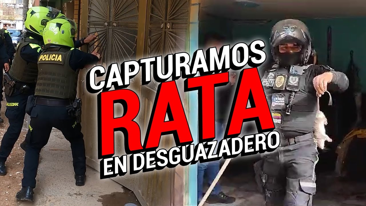 DESMANTELAMOS Negocio de RATAS gracias a nuestro GPS @Self Security GPS