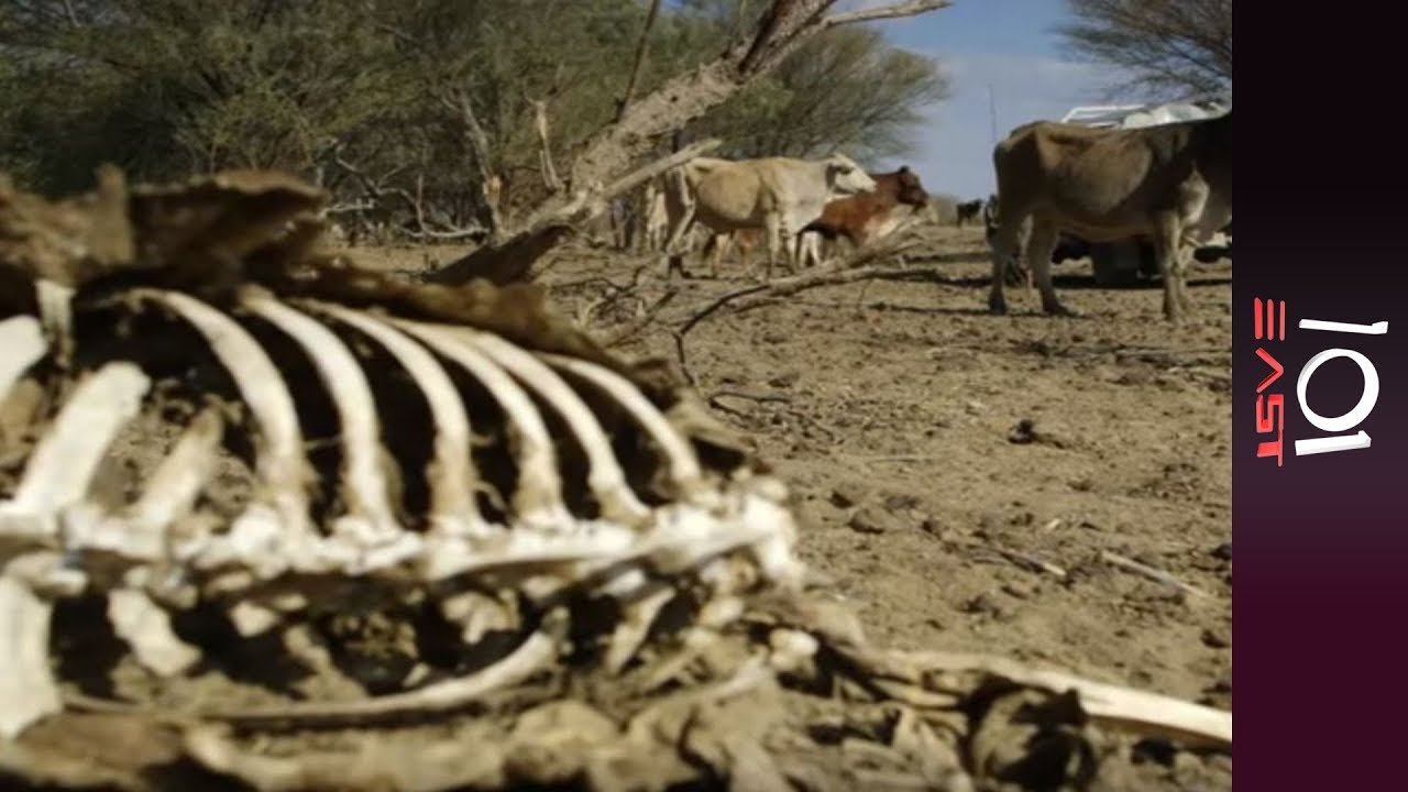 🇦🇺 Battling the dry: Australia's Drought Crisis | 101 East