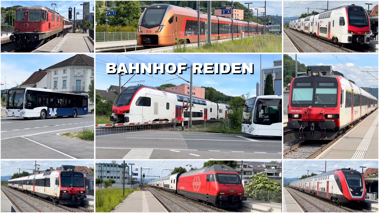 Züge beim Bahnhof Reiden | Trains at Reiden station (2025)