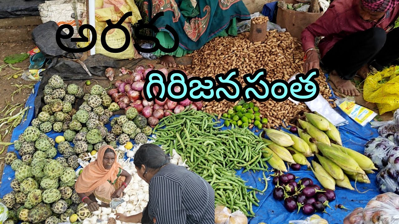Araku girijana santha full video!!