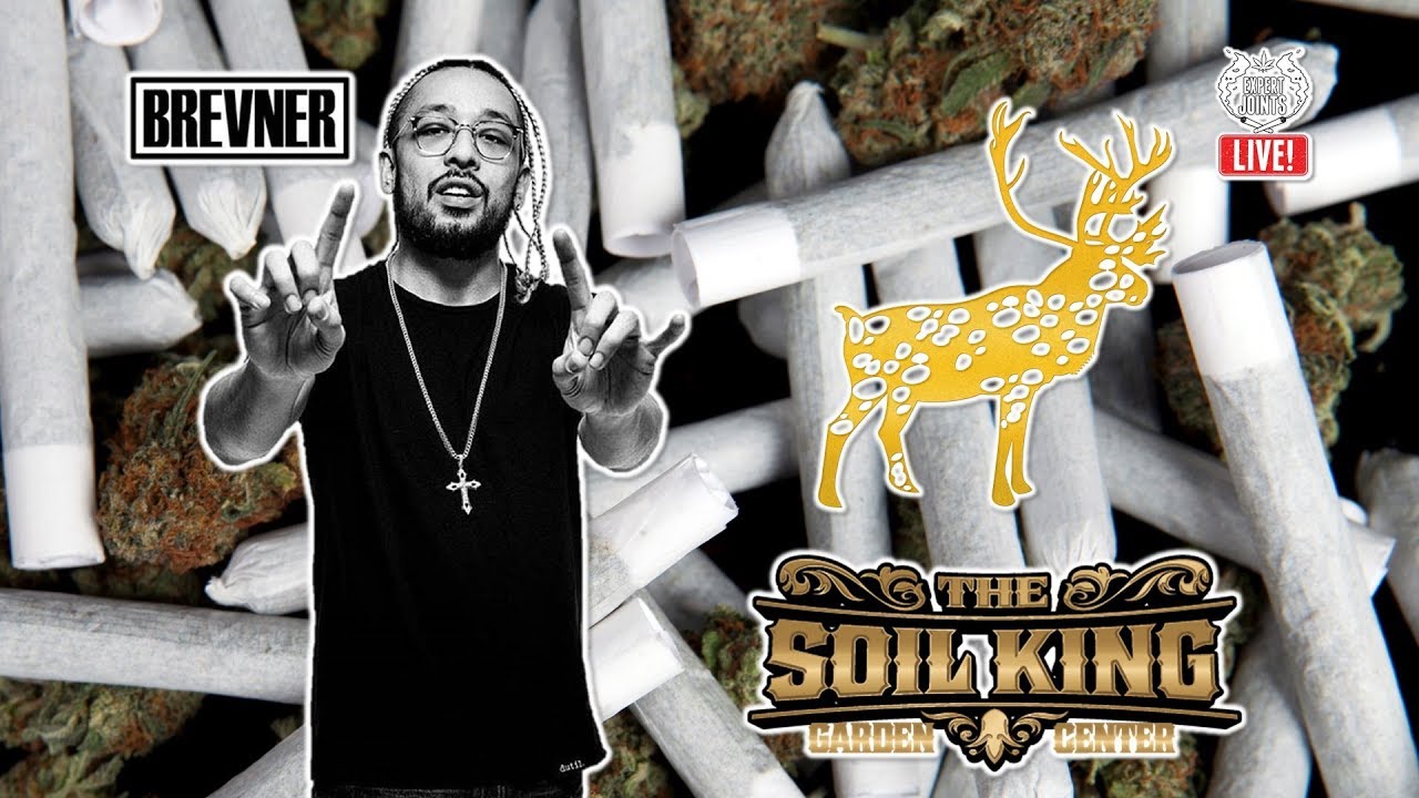 Expert Joints LIVE!: Brevved Up