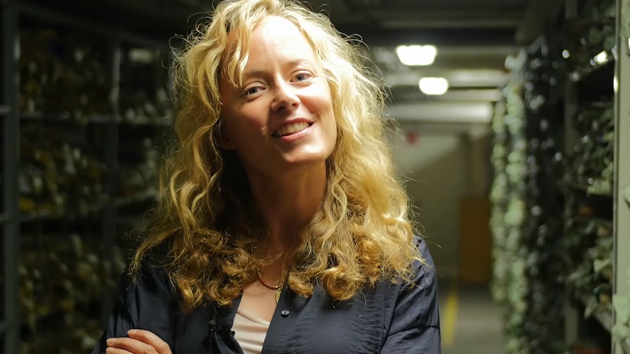 ZDF - LOTTE J&Auml;GER - Das ist Lotte J&auml;ger (Rollenprofil mit Silke Bodenbender)