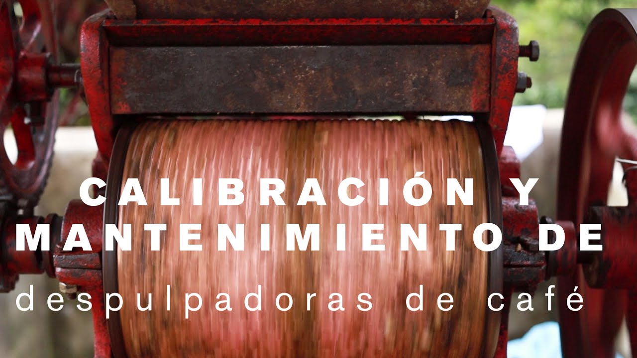 Calibración de despulpadora de café