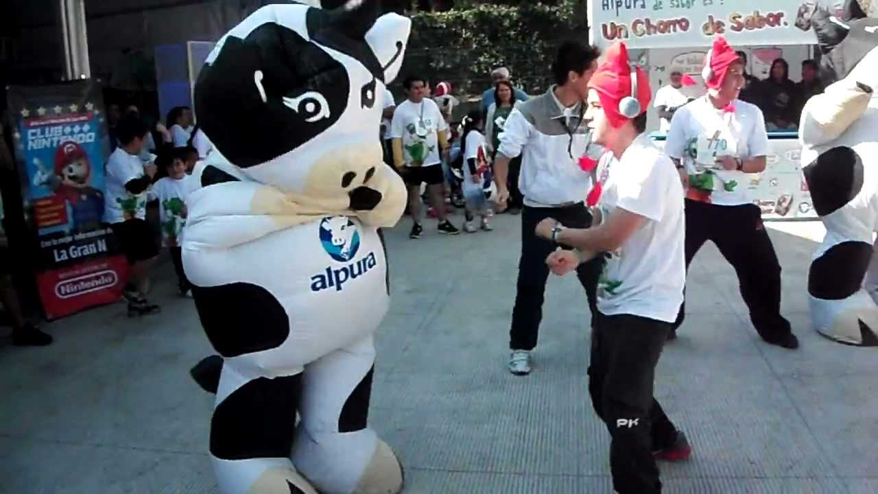 Gangnam Style Vacas Alpura