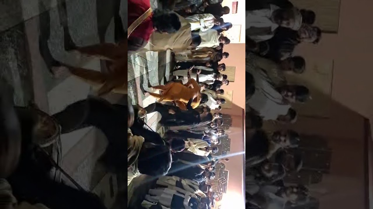 Dhol dance ghazal janu with young boy