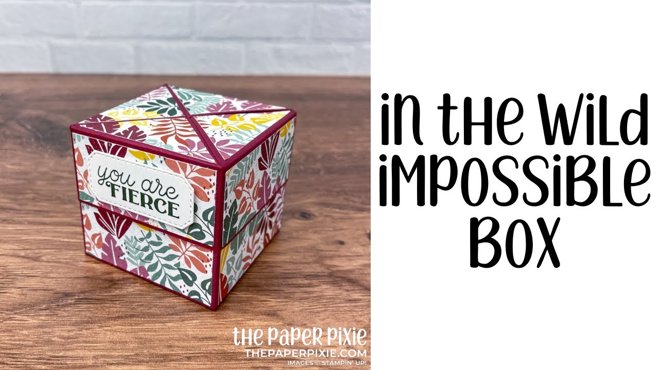 In the Wild Impossible Gift Box Tutorial