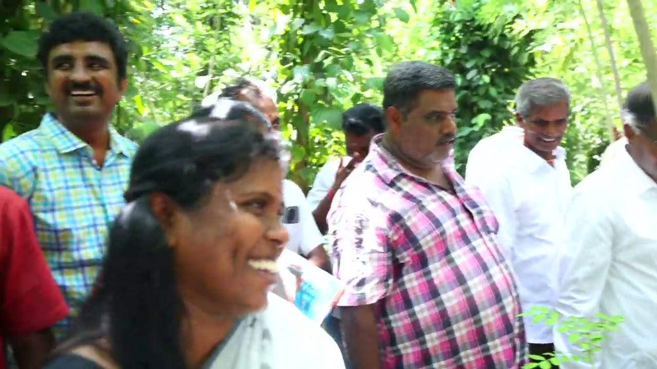 செடி மிளகு, கொடி மிளகு விளக்கம்: ஒரு ஏக்கருக்கு எவ்வளவு செடி, எவ்வளவு கொடி?