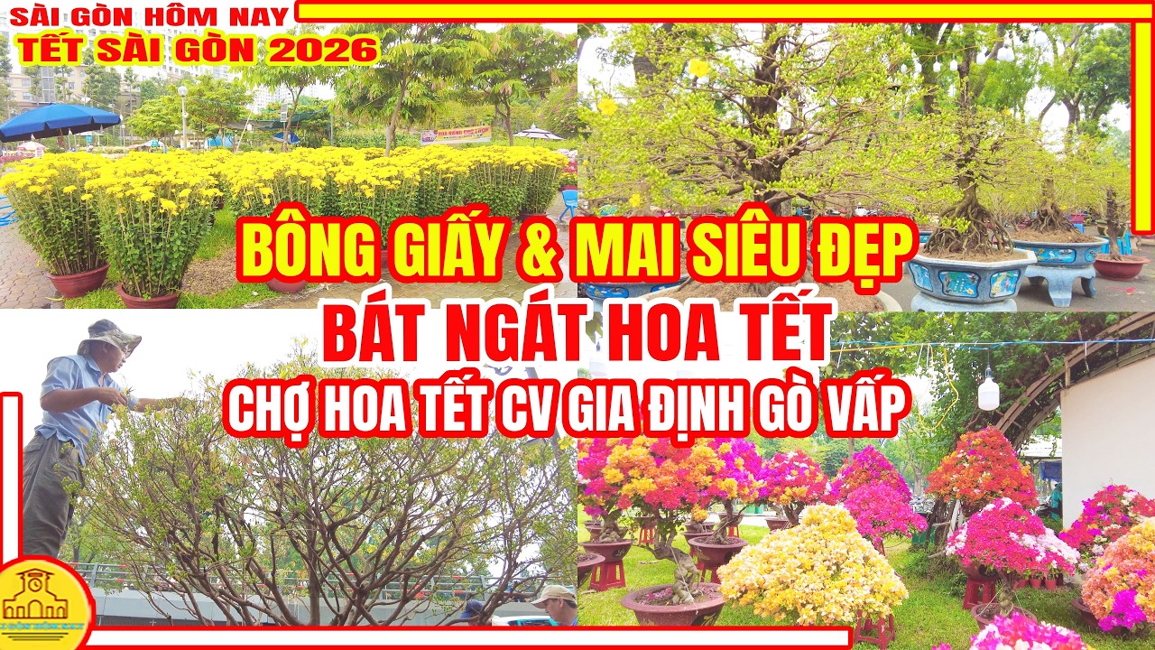 TRÀN NGẬP HOA TẾT! Bông Giấy và Mai SIÊU ĐẸP | Chợ Hoa Tết Công Viên Gia Định | Tết Sài Gòn 2026