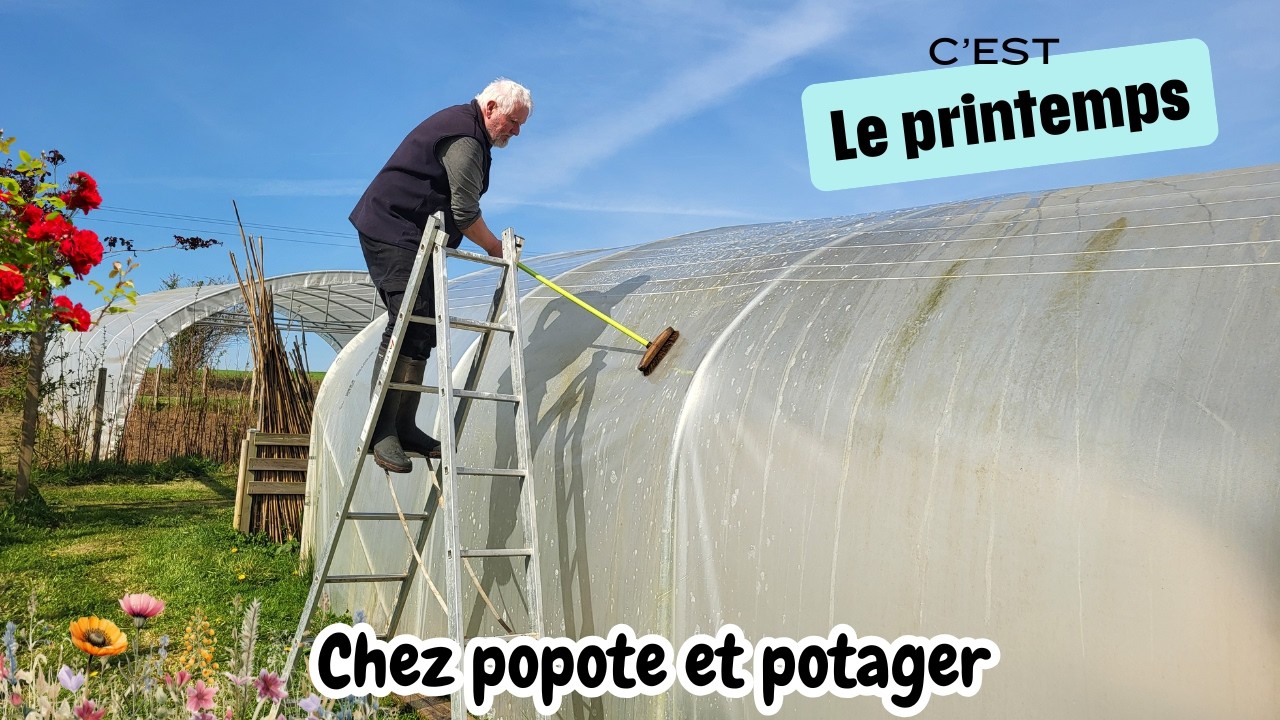 NETTOYER SA SERRE : Ma méthode simple et naturelle.