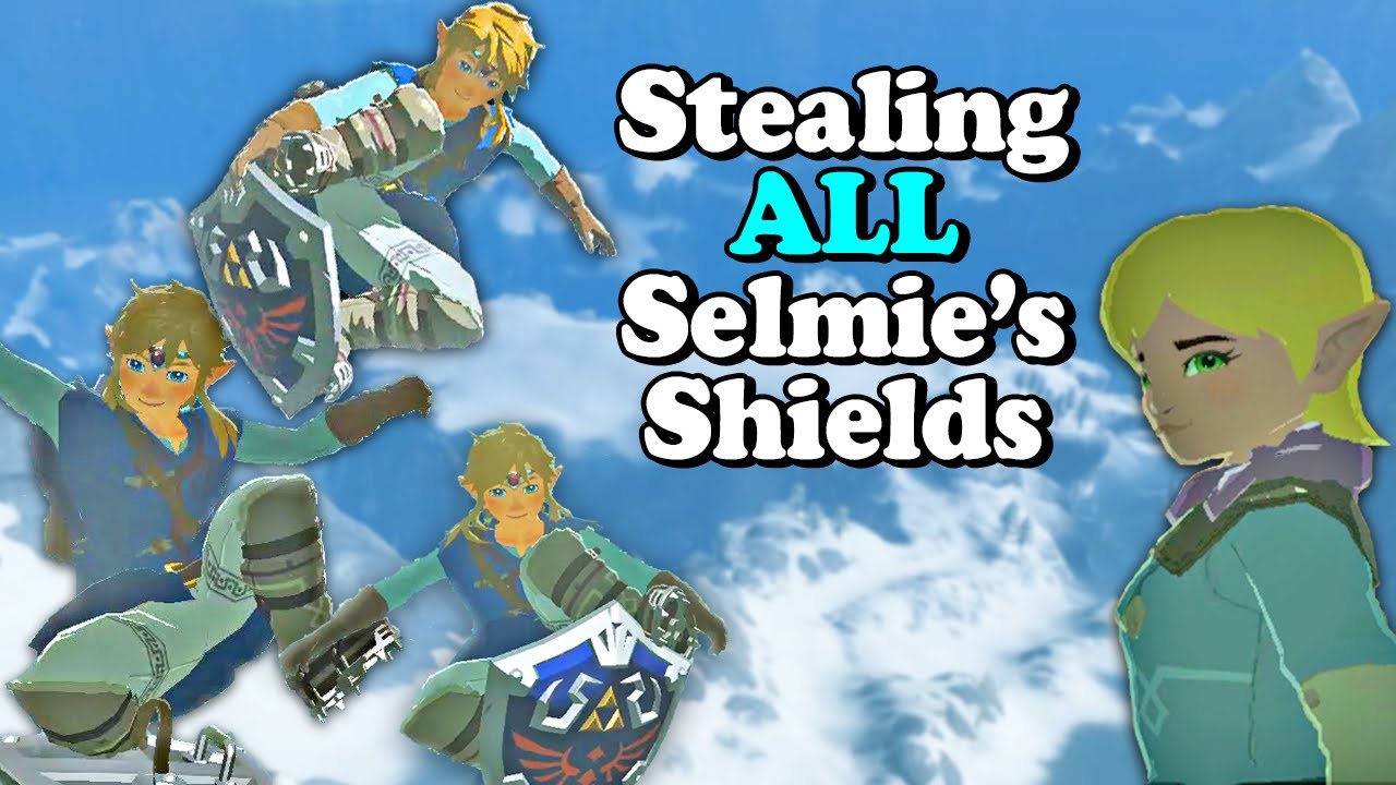 Best Routes for Taking All Shields From Selmie's Shield Surfing | Zelda Breath of the Wild BotW