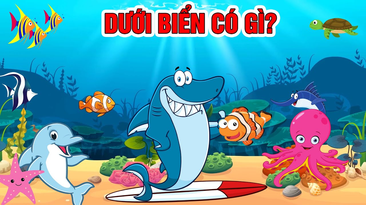 TÊN GỌI VÀ ÂM THANH CÁC LOÀI ĐỘNG VẬT BIỂN CHO BÉ TẬP ĐOÁN
