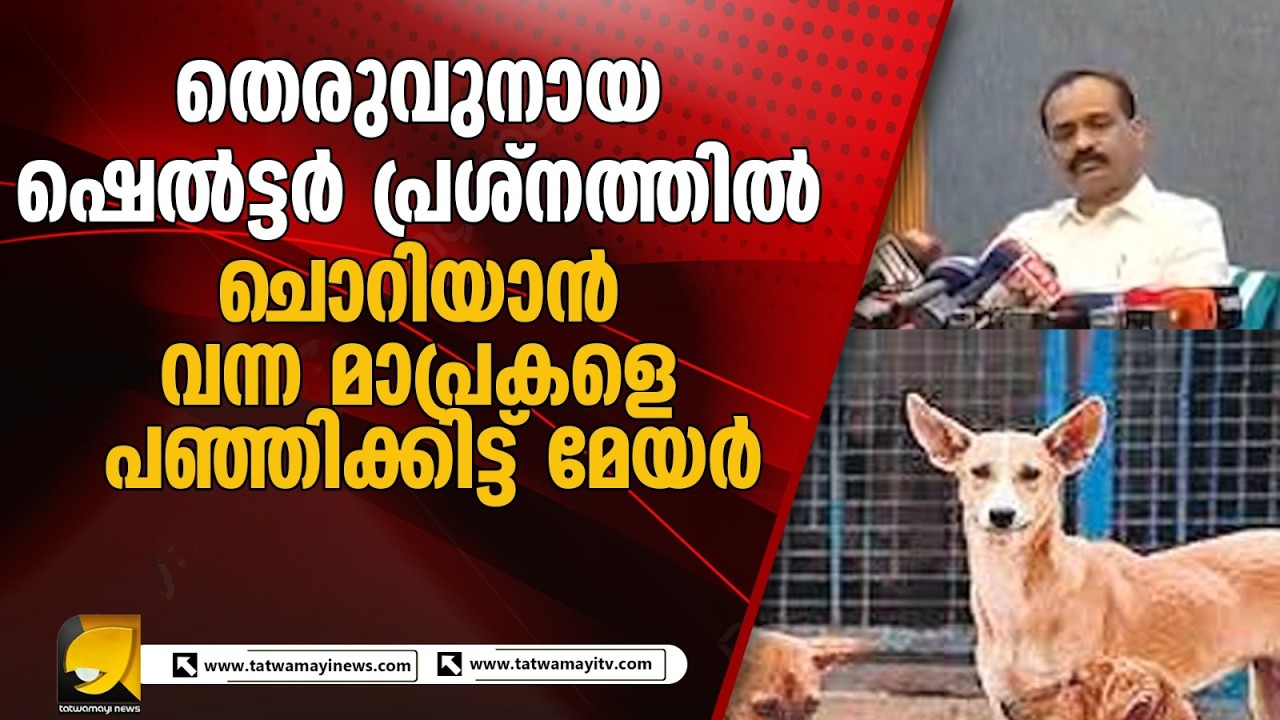 തെരുവ് നായ ഷെൽട്ടർ പ്രശ്നത്തിൽ എന്തും നേരിടാൻ തയ്യാറെന്ന് മേയർ