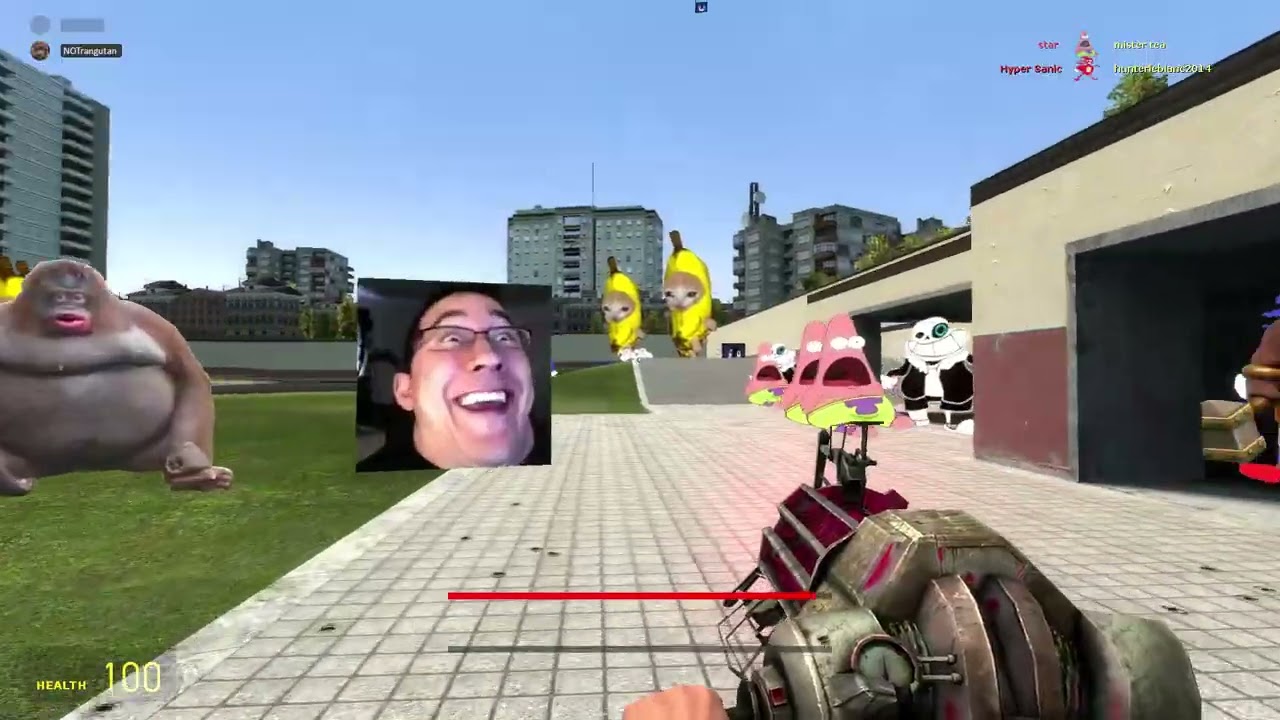 Garry's Mod