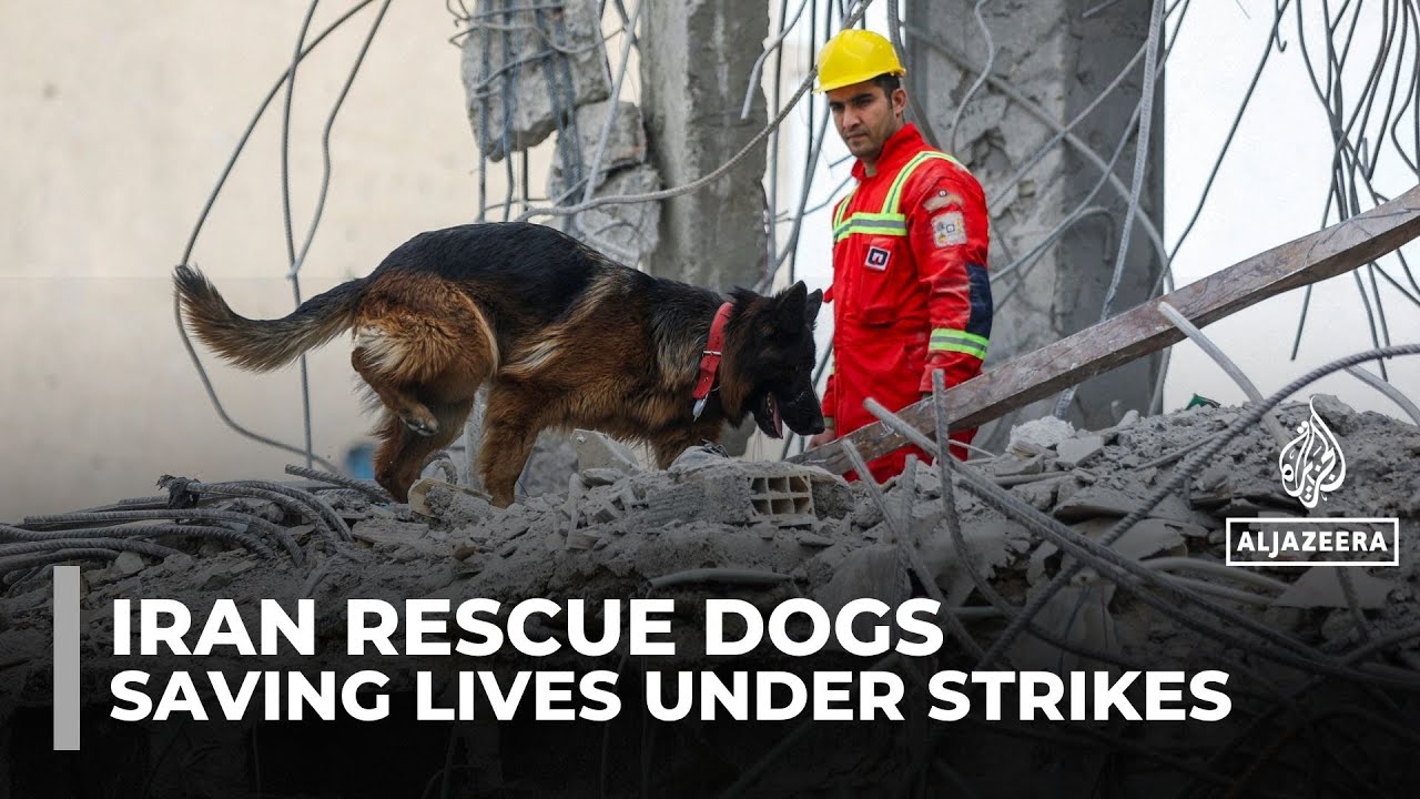Iran&rsquo;s brave rescue dogs hailed as heroes amid US&ndash;Israeli strikes