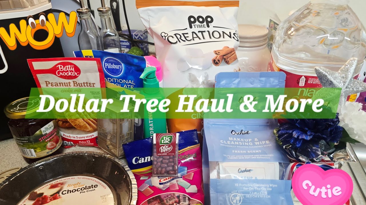 Monday Monthly Grocery Haul and Dollar Tree Haul 🌳 #dollartree #dollartreenewfinds #groceryshopping 