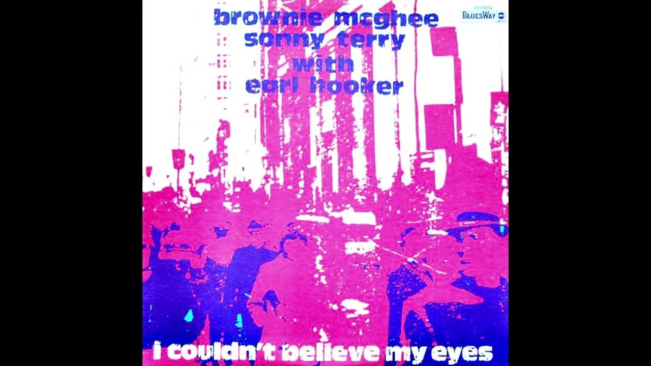 Brownie McGhee And Sonny Terry With Earl Hooker – When I Was Drinkin'