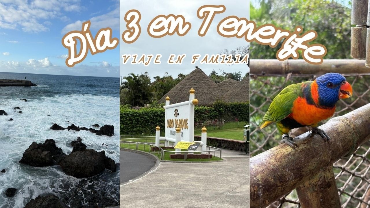 Casi nos quedamos fuera del Loro Parque 😱 + Puerto de La Cruz | Tenerife Día 3