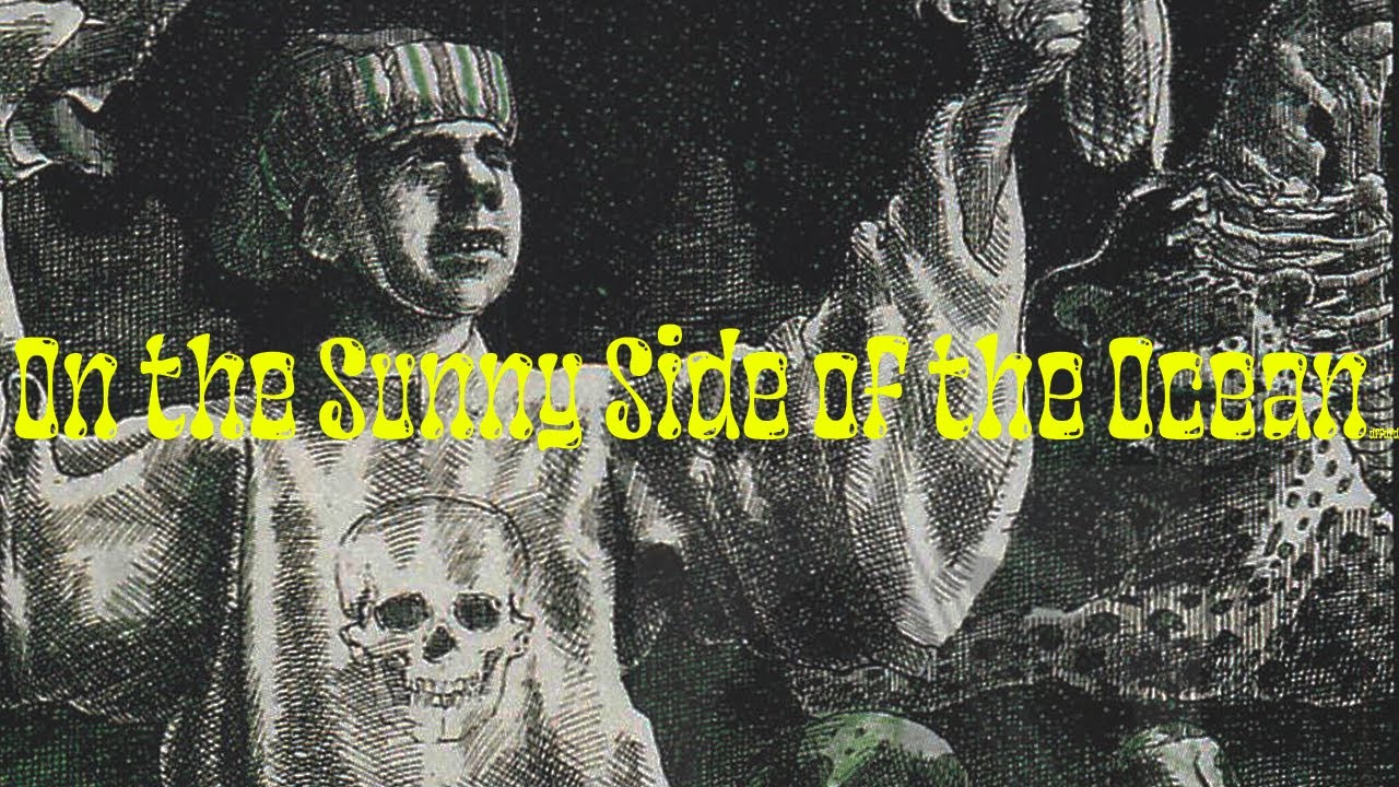 On the Sunny Side Of The Ocean by John Fahey | Guitar Lesson