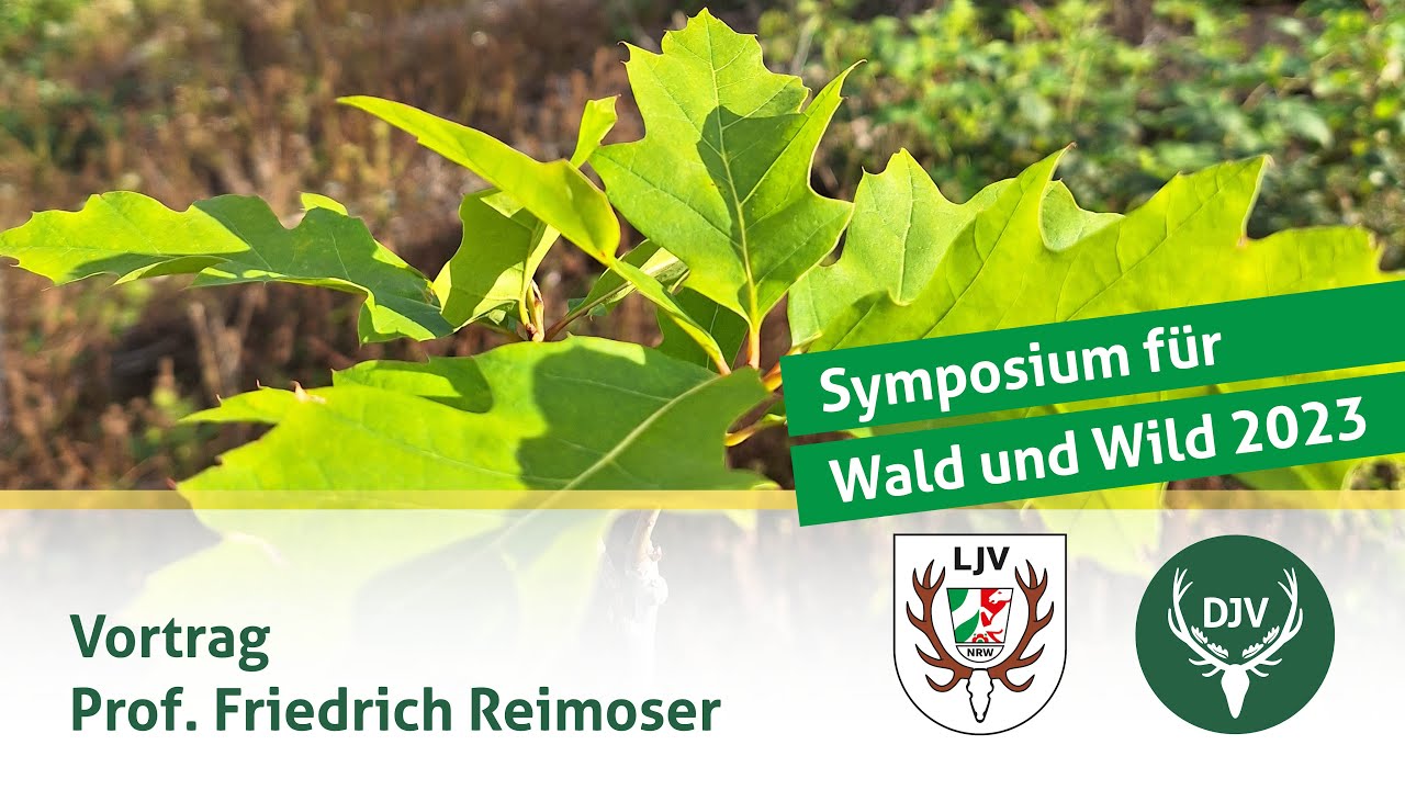 Symposium Wald und Wild | Vortrag Prof. Friedrich Reimoser