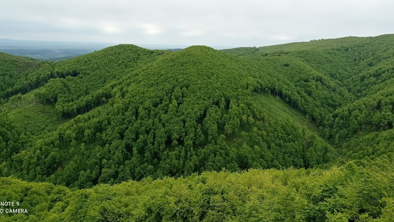 Однодневный поход в горы. (Антоловецкая поляна, гора Соколец.)