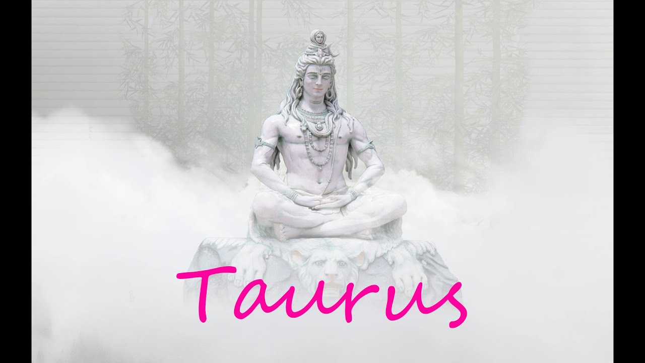 TAURUS Timeless - SPIRIT wants you to know why you're on this path and where it leads