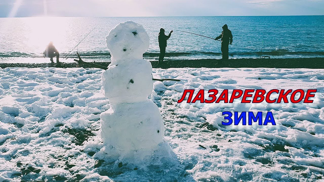 Лазаревское таким увидела впервые! Что после снегопада? Тучи птиц над морем - кто и почему?