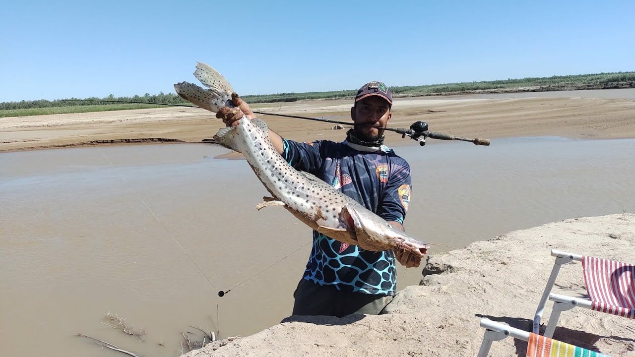 A Caña Doblada, estireeee SURU🎣. Pescando con Sombra.