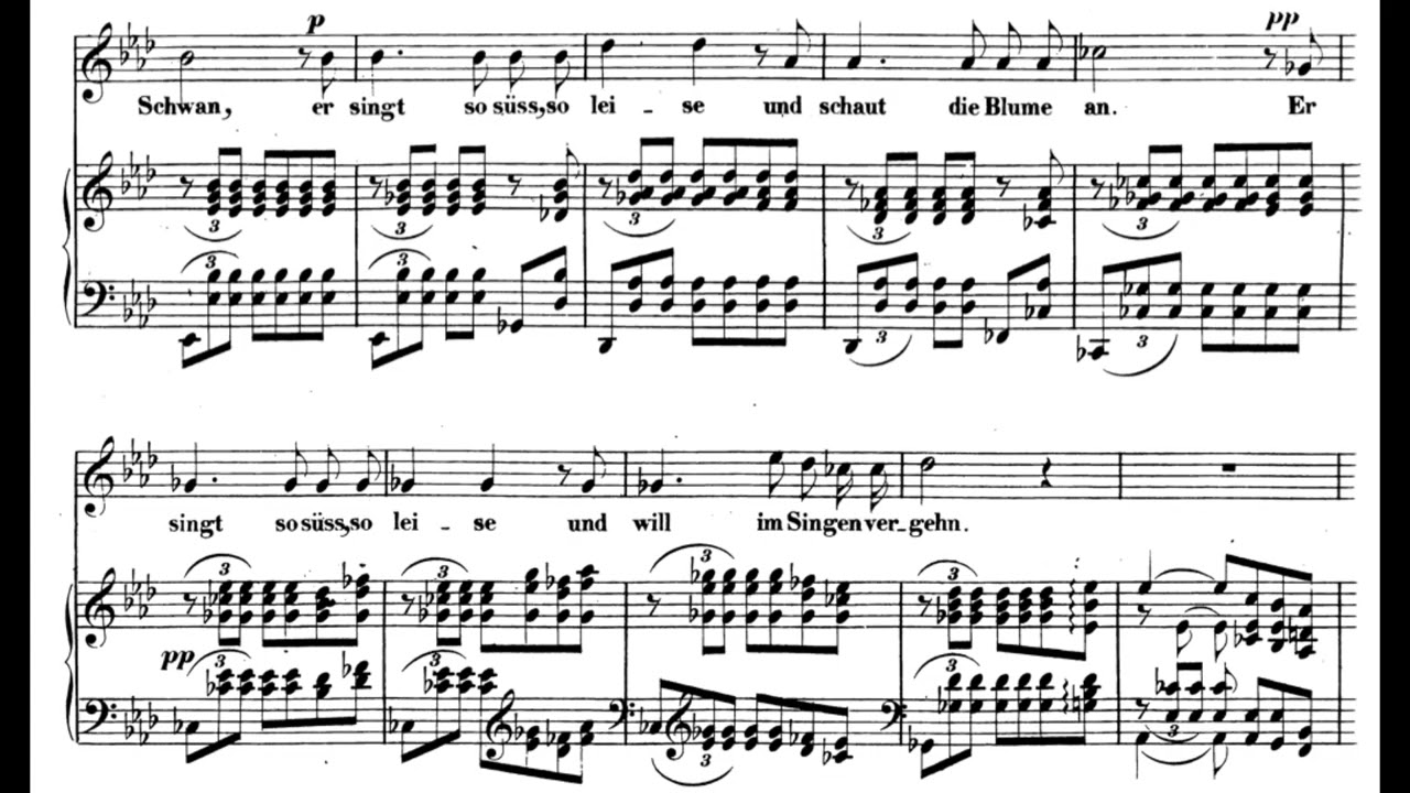 Die stille Lotosblume (C. Schumann) Score Animation