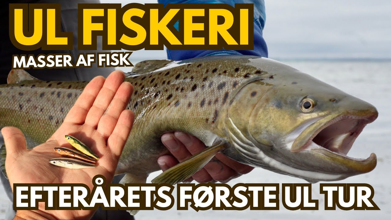 Første tur med ul grejet