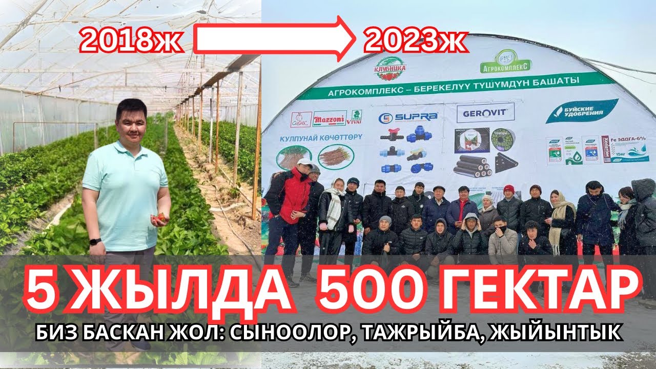 Биз баскан жол. 10га-500 гектарга карай.