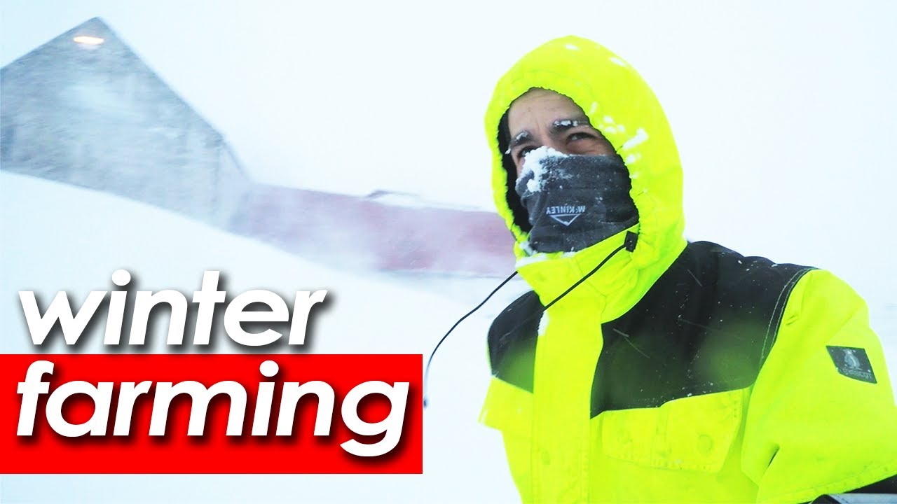 Iceland Farmer versus EXTREME Winter Conditions...