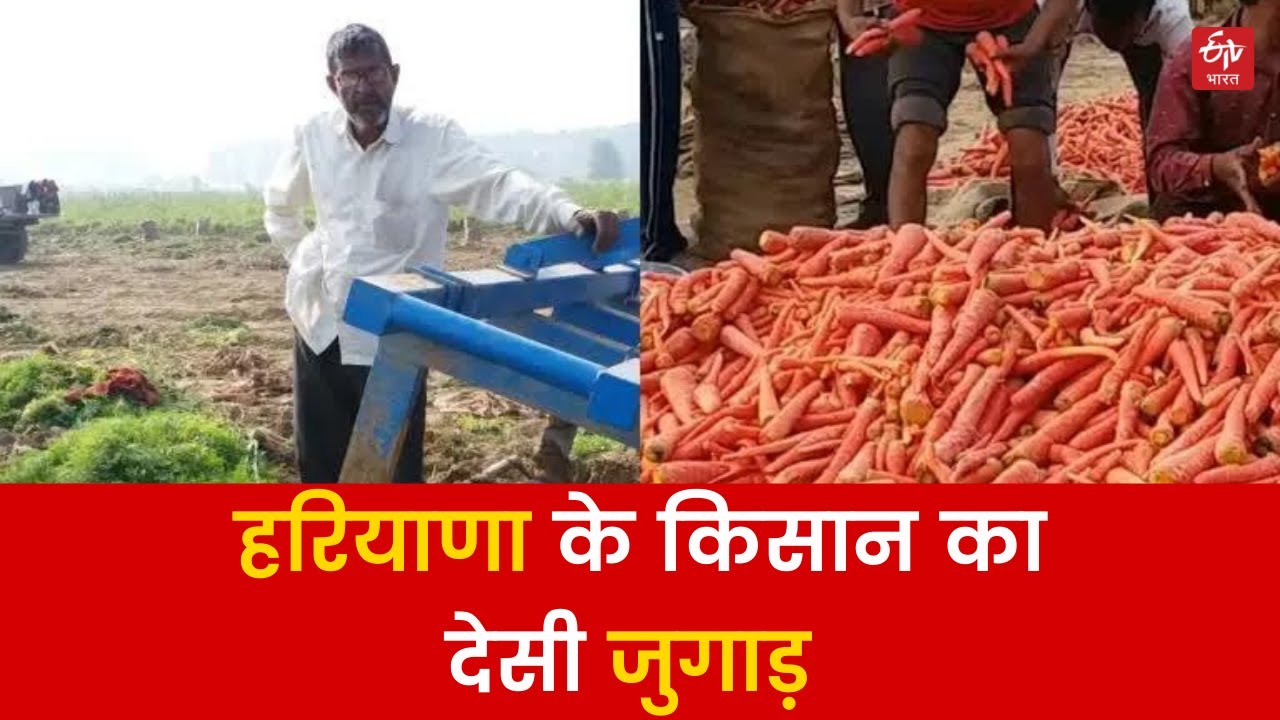 Carrot Farming Machine: देसी जुगाड़ से बनाई गाजर खुदाई की मशीन | Behbalpur Hisar Haryana | Panjab |