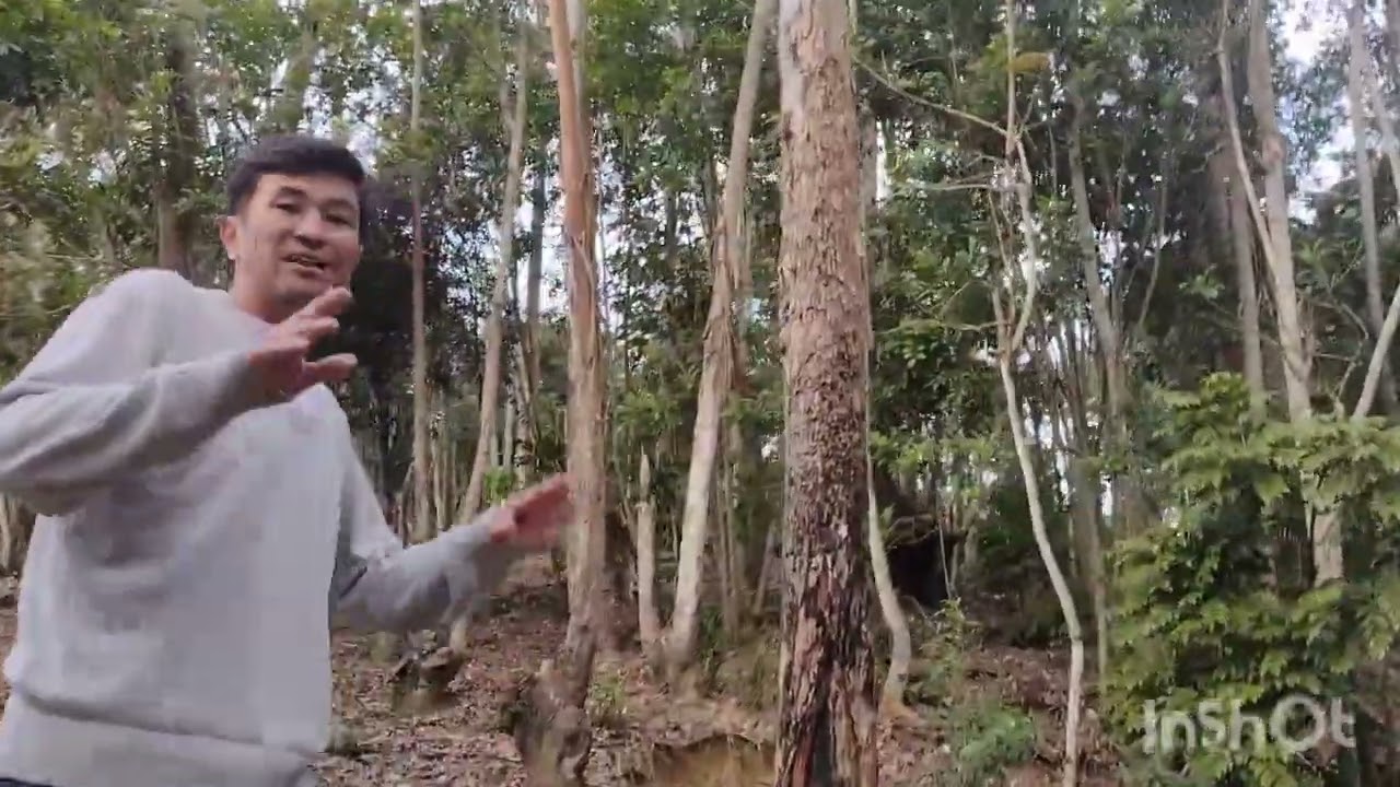 chácara venda Mogi das cruzes muito barato com acesso para Represa 5.000 mil M2