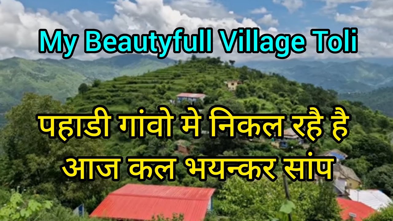 बारिश के बाद गांव मे निकल रहै है बडे बडे सांप 😭!!pahadi Life Style!!Daily Vlogs किया रास्ता साफ 🐉🙏💘