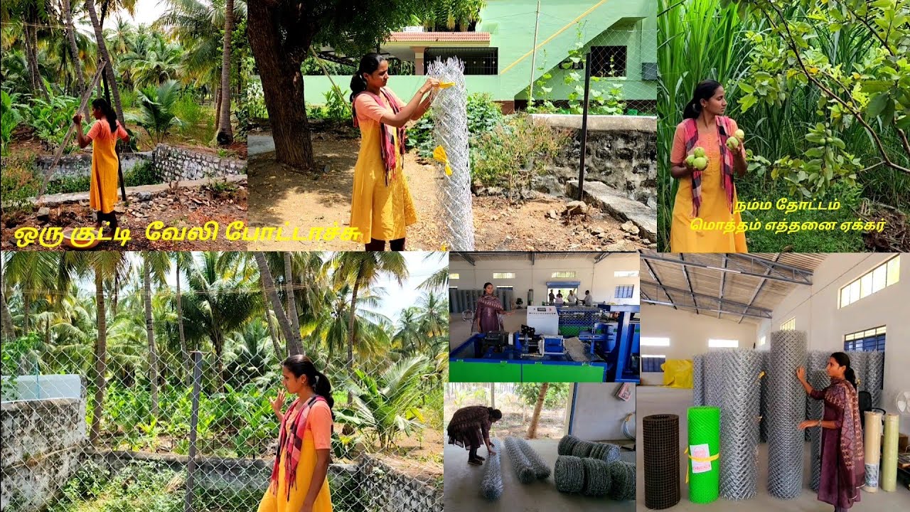 நம்ம தோட்டத்துக்கு பாதுகாப்பு வேலி போடணும்ங்க/Fencing ideas for our farm/Farm tour🌴Coconut farming