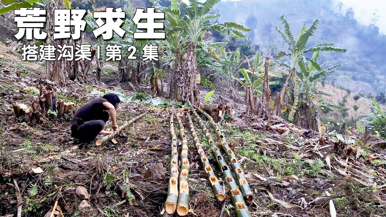 独自荒野求生，勘察地形时发现水源，并用竹子制作引水管道 #野外求生，竹子水管，发现水源，荒野生存，野外取水
