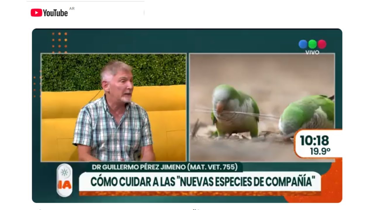 Cómo cuidar a las nuevas especies de compañía ► TELEFE ROSARIO