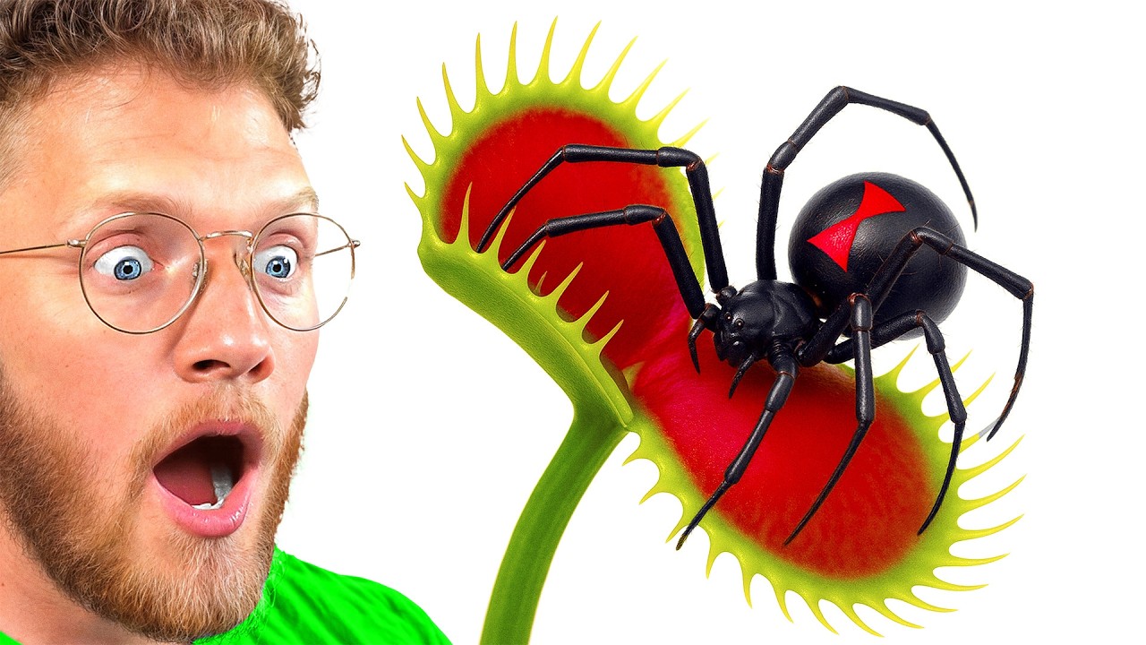 Beckbros React to BLACK WIDOW vs VENUS FLYTRAP