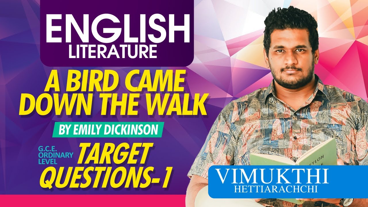 Target Questions - English Literature - Ordinary Level - Unedited.