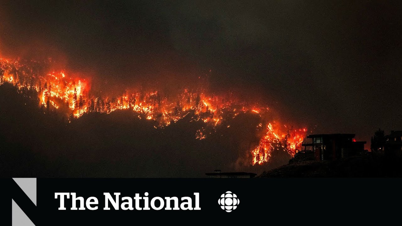 State of emergency in B.C. as Kelowna battles volatile wildfire