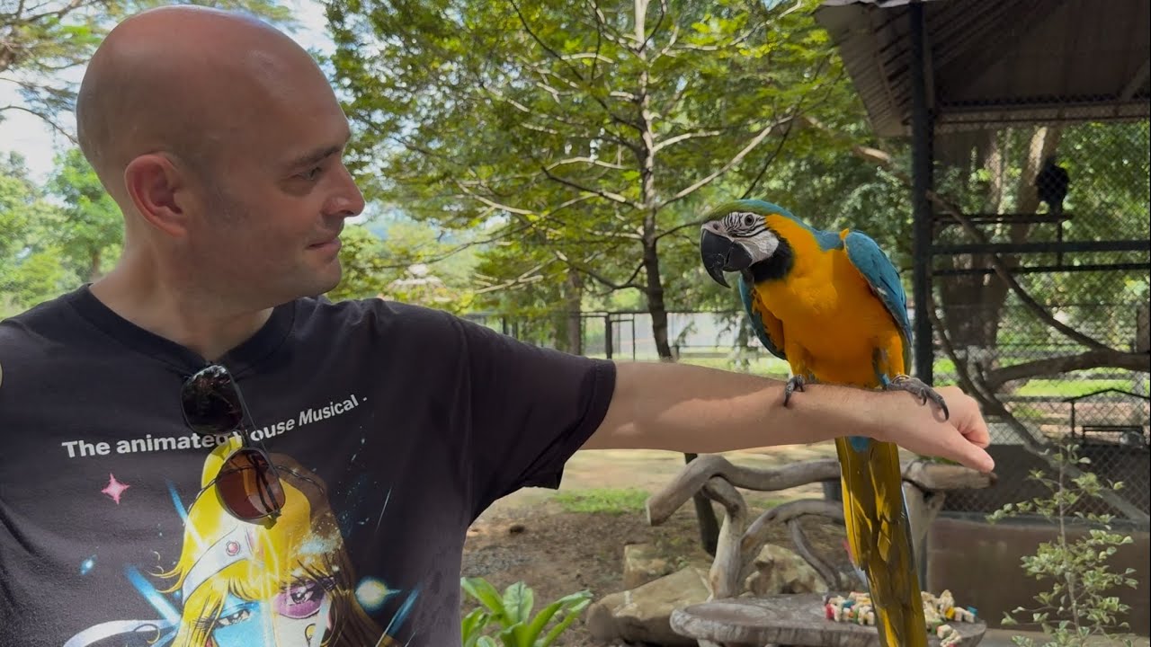 A Day In Pak Chong Thailand | Khao Yai National Park | Bat Cave | Expat Life 
