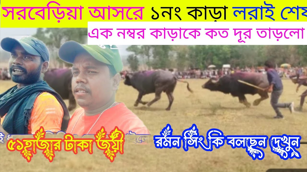 সরবেড়িয়া আসরে ১নং কাড়া খেলা পর রমন সিং কি বলছেন দেখুন 